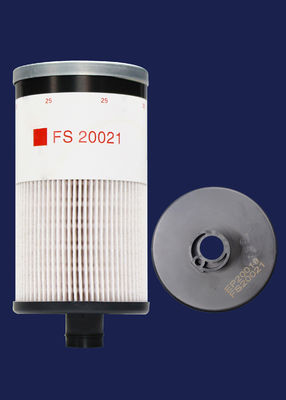 Van de diesel het Primaire Industriële Element Materiaalfilter FS20021 EP20019